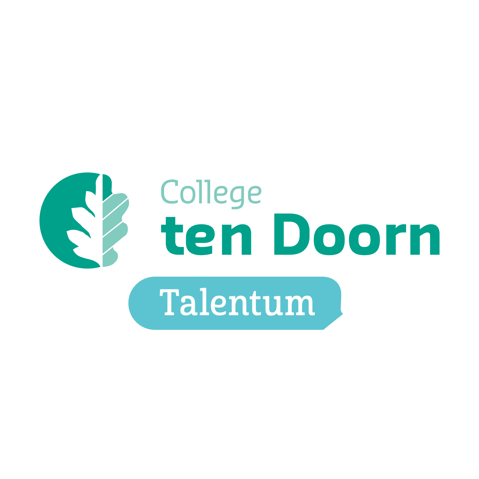 logo college ten doorn Talentum