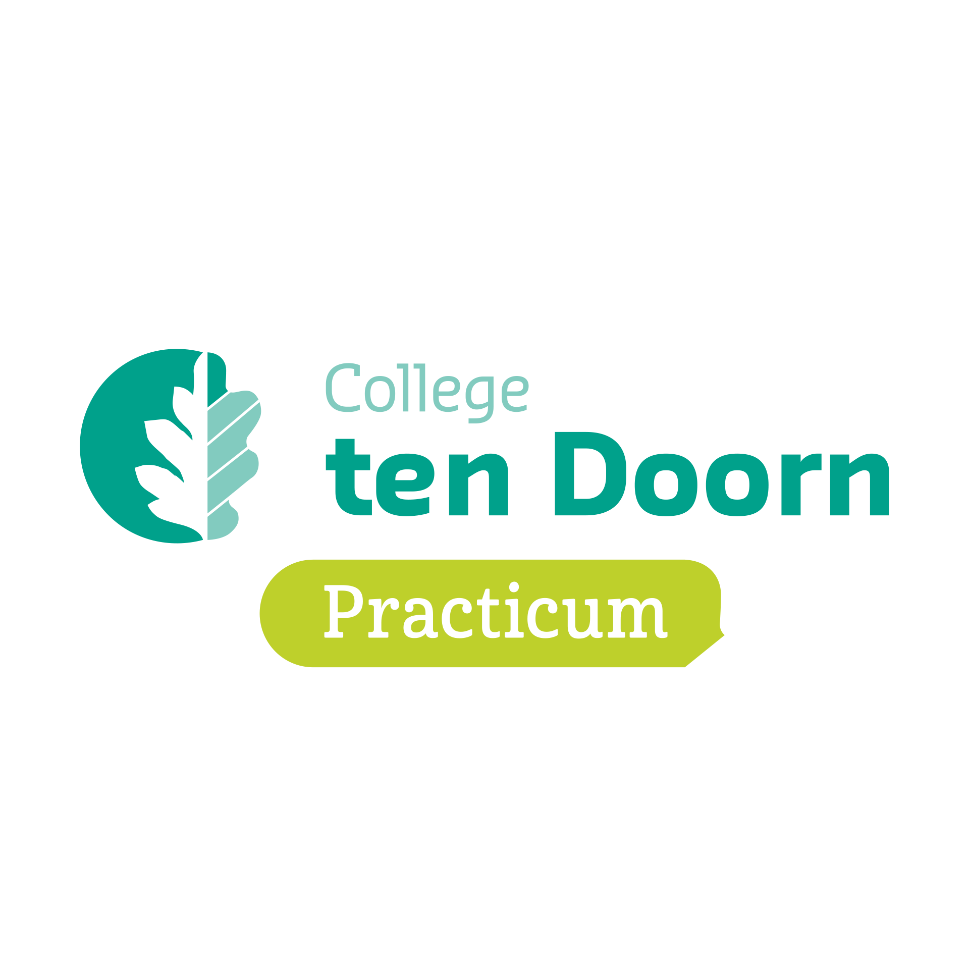 Logo college ten doorn Practicum